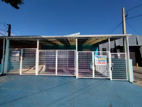 Aluga Salão Comercial para Clinicas veterinárias no jardim Proença em Campinas/SP