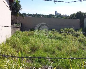 Alugar Terreno / Padrão em Campinas. apenas R$ 725.000,00