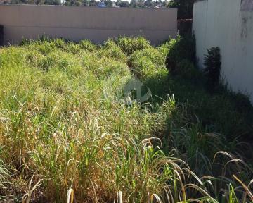 imagem 2 - Terreno para venda na Nova Campinas em Campinas/SP. imagem 2 - Terreno para venda na Nova Campinas em Campinas/SP.