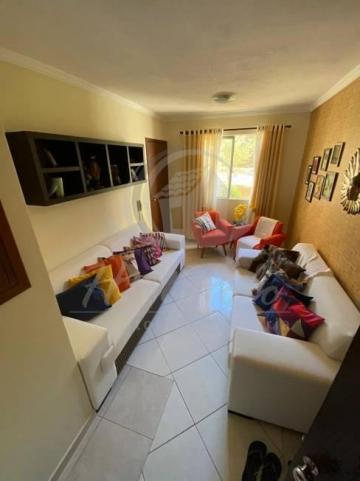 APARTAMENTO JARDIM PACAEMBU - CAMPINAS / SP