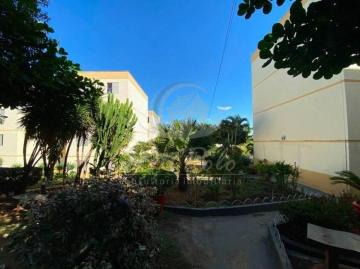 imagem 1 - APARTAMENTO JARDIM PACAEMBU - CAMPINAS / SP imagem 1 - APARTAMENTO JARDIM PACAEMBU - CAMPINAS / SP