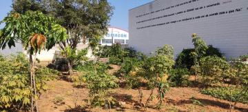 imagem 4 - TERRENO COMERCIAL À VENDA NO BAIRRO CHÁCARA COELHO - HORTOLÂNDIA/SP imagem 4 - TERRENO COMERCIAL À VENDA NO BAIRRO CHÁCARA COELHO - HORTOLÂNDIA/SP