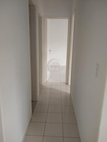imagem 4 - Apartamento - Padrão imagem 4 - Apartamento - Padrão
