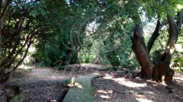 imagem 5 - CHÁCARA COM 5.250M² À VENDA NO PARQUE UNIVERSITÁRIO DE VIRACOPOS EM CAMPINAS/SP. imagem 5 - CHÁCARA COM 5.250M² À VENDA NO PARQUE UNIVERSITÁRIO DE VIRACOPOS EM CAMPINAS/SP.
