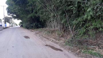 imagem 1 - Rural - Sítio imagem 1 - Rural - Sítio