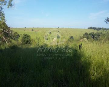 imagem 3 - Chácara no condomínio Bosques de Notre Dame - Clube dos Médicos à venda em Campinas/SP imagem 3 - Chácara no condomínio Bosques de Notre Dame - Clube dos Médicos à venda em Campinas/SP