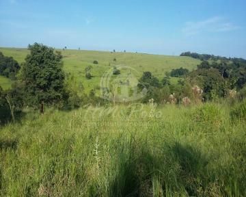 imagem 5 - Chácara no condomínio Bosques de Notre Dame - Clube dos Médicos à venda em Campinas/SP imagem 5 - Chácara no condomínio Bosques de Notre Dame - Clube dos Médicos à venda em Campinas/SP