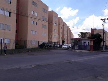 Alugar Apartamento / Padrão em Campinas. apenas R$ 850,00