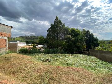 imagem 5 - Terreno - Área imagem 5 - Terreno - Área