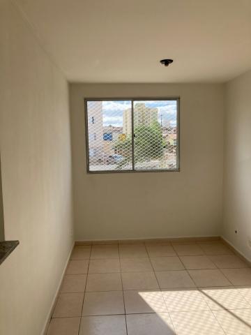 Alugar Apartamento / Padrão em Campinas. apenas R$ 225.000,00