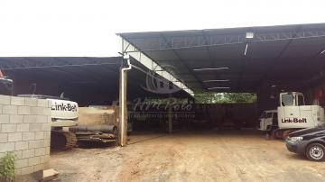 imagem 5 - ÓTIMO GALPÃO PARA VENDA NO CAMPO DOS AMARAIS, CAMPINAS - SP imagem 5 - ÓTIMO GALPÃO PARA VENDA NO CAMPO DOS AMARAIS, CAMPINAS - SP