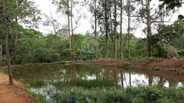 Sitio de 45.000 m² para venda no Tanquinho Velho, em Jaguariuna/SP