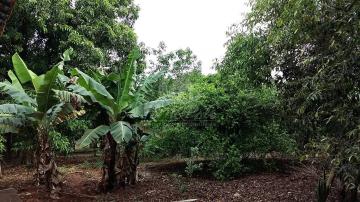 imagem 5 - Sitio de 45.000 m² para venda no Tanquinho Velho, em Jaguariuna/SP imagem 5 - Sitio de 45.000 m² para venda no Tanquinho Velho, em Jaguariuna/SP