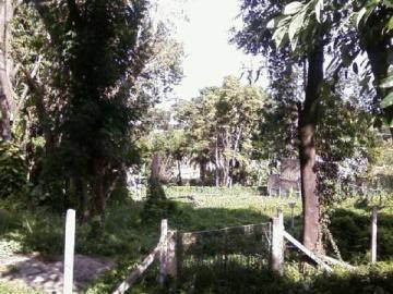 Campinas Jardim das Paineiras Area Venda R$15.000.000,00  Area do terreno 7544.00m2 