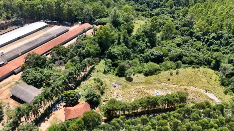 imagem 3 - Area para venda com 72.000 m² na Estrada Municipal Morungaba a Bragança Paulista, em Morungaba/SP imagem 3 - Area para venda com 72.000 m² na Estrada Municipal Morungaba a Bragança Paulista, em Morungaba/SP