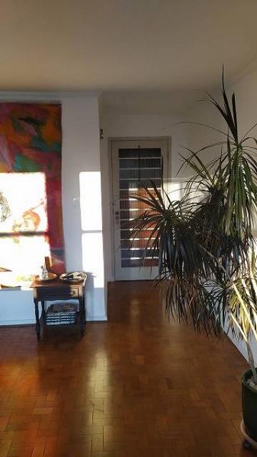 imagem 3 - Apartamento - Padrão imagem 3 - Apartamento - Padrão