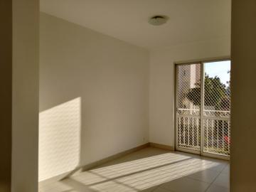 imagem 4 - APARTAMENTO A VENDA NO JARDIM DOS OLIVEIRAS EM CAMPINAS-SP imagem 4 - APARTAMENTO A VENDA NO JARDIM DOS OLIVEIRAS EM CAMPINAS-SP