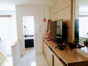 imagem 5 - APARTAMENTO PARA VENDA NO JARDIM NOSSA SENHORA AUXILIADORA CAMPINAS SP. imagem 5 - APARTAMENTO PARA VENDA NO JARDIM NOSSA SENHORA AUXILIADORA CAMPINAS SP.