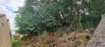 imagem 1 - TERRENO/ÁREA À VENDA NO GUARANI EM CAPINAS-SP. imagem 1 - TERRENO/ÁREA À VENDA NO GUARANI EM CAPINAS-SP.