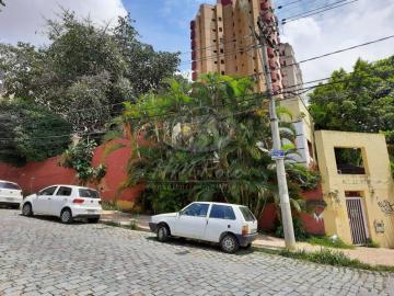 imagem 3 - Terreno - Padrão imagem 3 - Terreno - Padrão