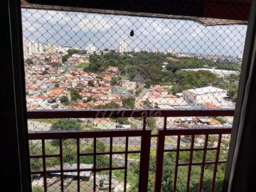 Alugar Apartamento / Padrão em Campinas. apenas R$ 310.000,00