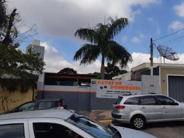 imagem 2 - TERRENO PARA VENDA NO TAQUARAL NA CIDADE DE CAMPINAS/SP imagem 2 - TERRENO PARA VENDA NO TAQUARAL NA CIDADE DE CAMPINAS/SP