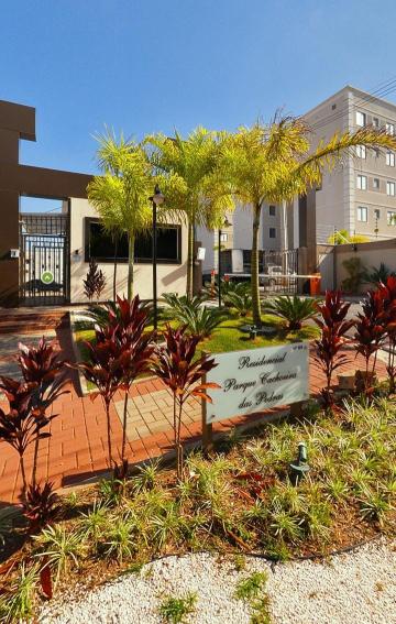 imagem 1 - APARTAMENTO COM 2 QUARTOS NO PAQRQUE DAS CACHOEIRAS VALINHOS-SP imagem 1 - APARTAMENTO COM 2 QUARTOS NO PAQRQUE DAS CACHOEIRAS VALINHOS-SP