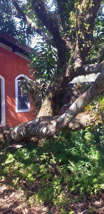 imagem 3 - CASA A VENDA NO SITIO /BAIRRO APAGA FOGO EM  VALINHOS/SP imagem 3 - CASA A VENDA NO SITIO /BAIRRO APAGA FOGO EM  VALINHOS/SP