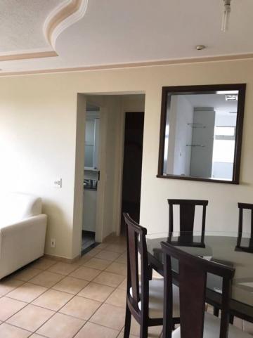 imagem 4 - Apartamento - Padrão imagem 4 - Apartamento - Padrão