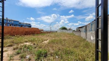 ÓTIMO TERRENO PARA ALUGUEL NO PARQUE DOM PEDRO II EM CAMPINAS-SP