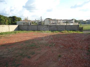 imagem 2 - TERRENO  PARA LOCAÇÃO NO PARQUE DOS POMARES CAMPINAS - SP imagem 2 - TERRENO  PARA LOCAÇÃO NO PARQUE DOS POMARES CAMPINAS - SP