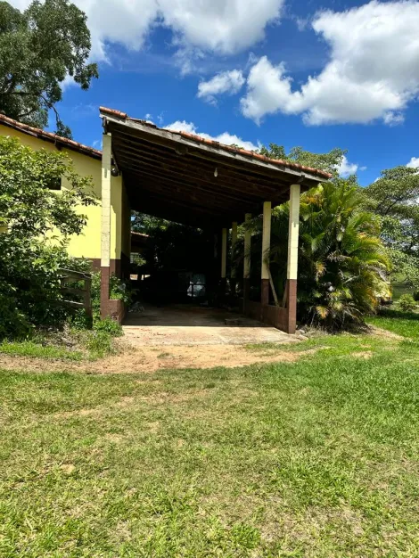 imagem 4 - Sítio com 8 quartos à venda em Joaquim Egídio, Campinas-SP. imagem 4 - Sítio com 8 quartos à venda em Joaquim Egídio, Campinas-SP.