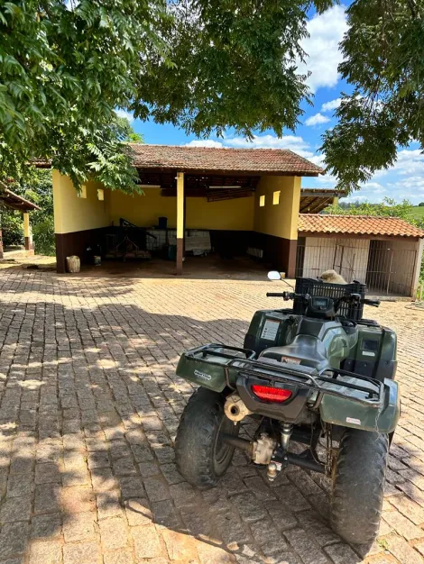 imagem 5 - Sítio com 8 quartos à venda em Joaquim Egídio, Campinas-SP. imagem 5 - Sítio com 8 quartos à venda em Joaquim Egídio, Campinas-SP.
