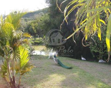 imagem 2 - SÍTIO PARA VENDA NA CIDADE DE GUAREÍ/SP imagem 2 - SÍTIO PARA VENDA NA CIDADE DE GUAREÍ/SP