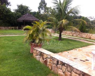 imagem 3 - SÍTIO PARA VENDA NA CIDADE DE GUAREÍ/SP imagem 3 - SÍTIO PARA VENDA NA CIDADE DE GUAREÍ/SP