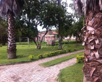imagem 4 - SÍTIO PARA VENDA NA CIDADE DE GUAREÍ/SP imagem 4 - SÍTIO PARA VENDA NA CIDADE DE GUAREÍ/SP