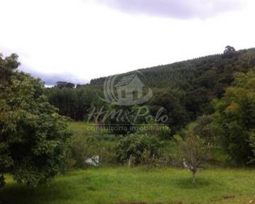 imagem 5 - SÍTIO PARA VENDA NA CIDADE DE GUAREÍ/SP imagem 5 - SÍTIO PARA VENDA NA CIDADE DE GUAREÍ/SP