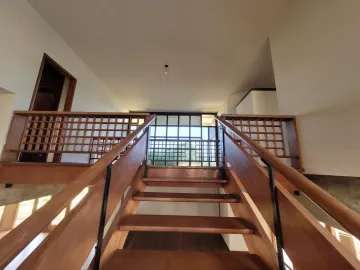 imagem 5 - Casa comercial ou residencial para locação no Chácara Primavera em Campinas/SP imagem 5 - Casa comercial ou residencial para locação no Chácara Primavera em Campinas/SP