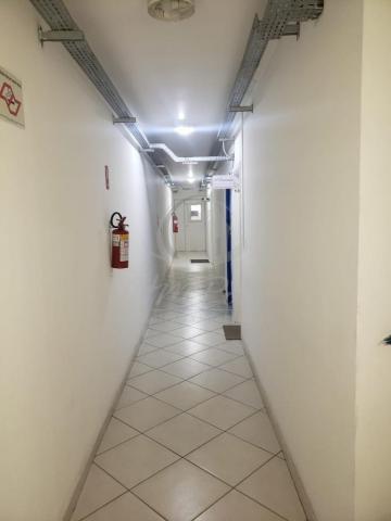 imagem 4 - PRÉDIO COMERCIAL NO CAMBUÍ EM CAMPINAS/SP imagem 4 - PRÉDIO COMERCIAL NO CAMBUÍ EM CAMPINAS/SP