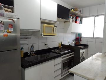 imagem 4 - Apartamento com 2 quartos à venda em Americana-SP. imagem 4 - Apartamento com 2 quartos à venda em Americana-SP.