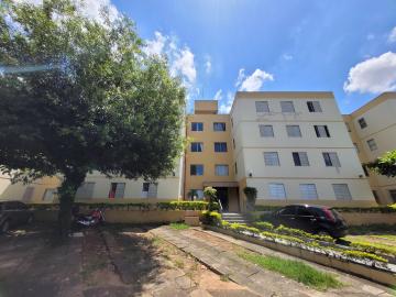 imagem 1 - APARTAMENTO COM 2 QUARTOS E 1 VAGA À VENDA NO JARDIM DO VOVÔ EM CAMPINAS/SP. imagem 1 - APARTAMENTO COM 2 QUARTOS E 1 VAGA À VENDA NO JARDIM DO VOVÔ EM CAMPINAS/SP.
