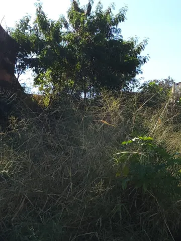 imagem 2 - Terreno - Padrão imagem 2 - Terreno - Padrão
