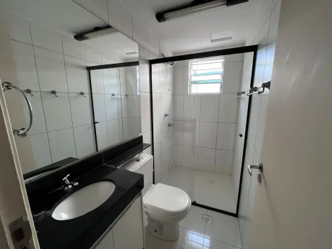 Apartamento para locação com 2 quartos no Jd. Nova Europa em Campinas-SP.