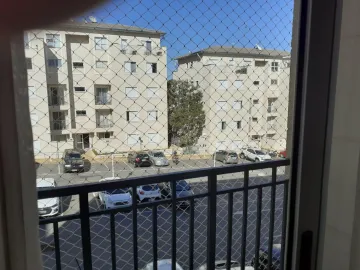imagem 1 - Apartamento 2 quartos com varanda 1 banheiro 1 vaga a venda no Jardim Amazonas em Campinas-SP imagem 1 - Apartamento 2 quartos com varanda 1 banheiro 1 vaga a venda no Jardim Amazonas em Campinas-SP