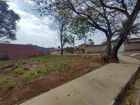 imagem 2 - Terreno a venda com 377m² no Loteamento Cidade Nova Mogi-Guaçu - Mogi Guaçu/SP. imagem 2 - Terreno a venda com 377m² no Loteamento Cidade Nova Mogi-Guaçu - Mogi Guaçu/SP.