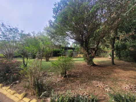 imagem 5 - Chácara / Área para condomínio à venda em Barão Geraldo / Chácara Santa Margarida em Campinas, São Paulo imagem 5 - Chácara / Área para condomínio à venda em Barão Geraldo / Chácara Santa Margarida em Campinas, São Paulo