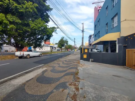 imagem 4 - Casa comercial com 245m² para locação  no bairro Vila Marieta - Campinas/SP imagem 4 - Casa comercial com 245m² para locação  no bairro Vila Marieta - Campinas/SP