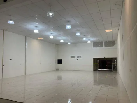 Galpão/Depósito/Armazém á venda com 380 m² no Bosque em Campinas-SP