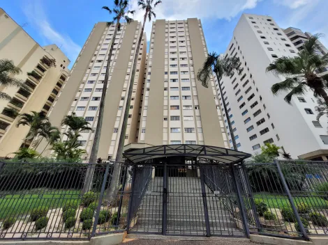 Apartamento reformado à venda no Jardim Proença em Campinas, São Paulo