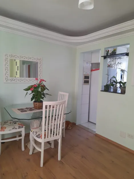imagem 2 - Apartamento com 2 quartos 1 banheiro 1 vaga a venda no São Bernardo em Campinas-SP imagem 2 - Apartamento com 2 quartos 1 banheiro 1 vaga a venda no São Bernardo em Campinas-SP